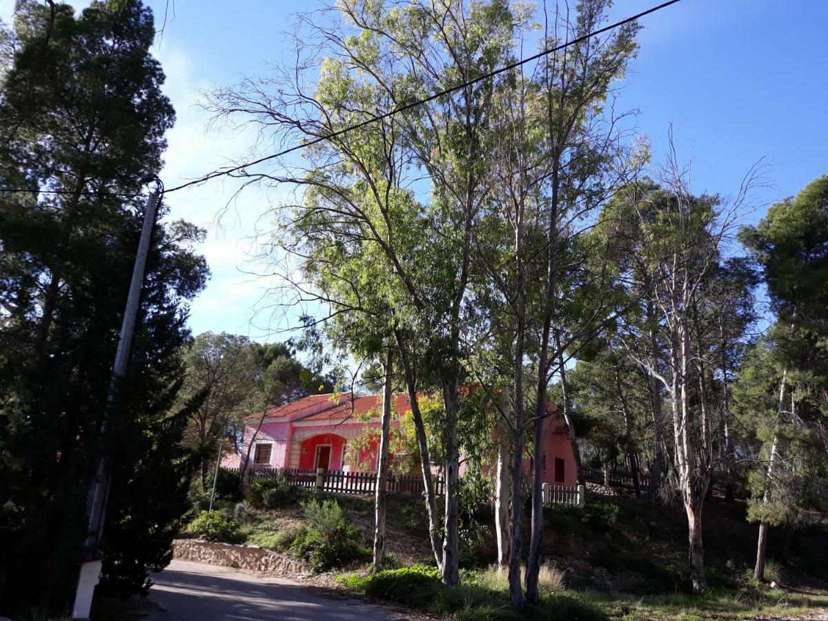 Casas Rurales "Paraje El Cajal" Ojós Dış mekan fotoğraf