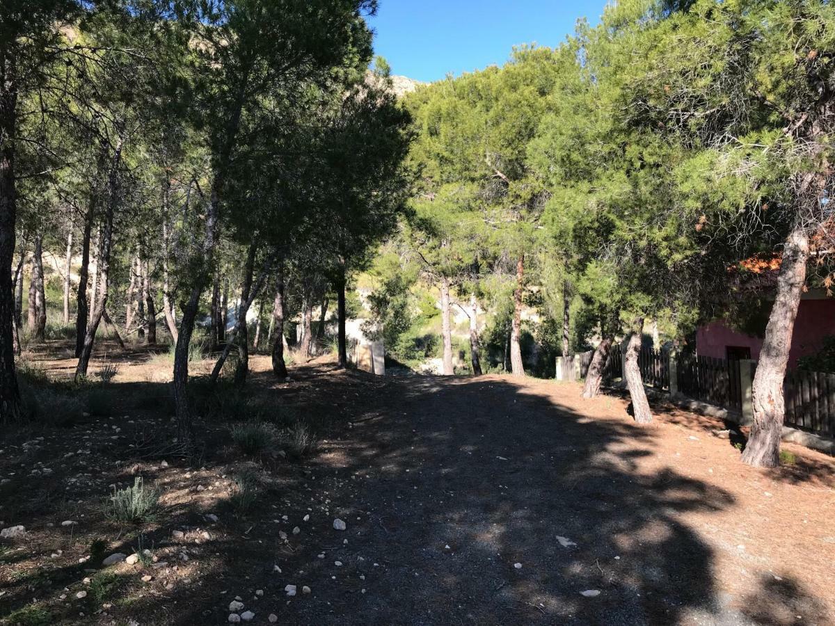 Casas Rurales "Paraje El Cajal" Ojós Dış mekan fotoğraf