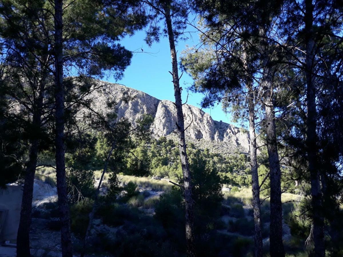 Casas Rurales "Paraje El Cajal" Ojós Dış mekan fotoğraf